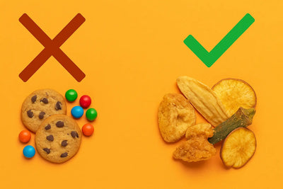 Crave a Healthy Late Night Snack? Try Vegetable Chips!